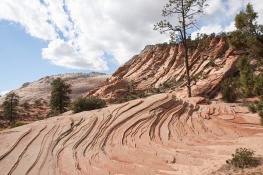 Taken at Zion National Park the rippled swirls of sandstone give off an other-worldly look and feel.