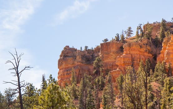 The Sun shone across the Red Canyon State Park striking this wall and creating a golden hue.