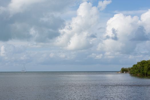 Grassy Key is next to Marathon Key on the U.S. 1 Overseas Highway. This is the view seen from a small dock.