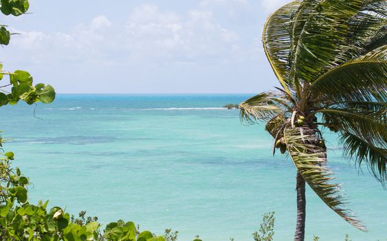 Bahia Honda State Park in the Florida Keys has coastline on both