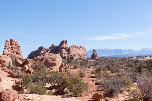 While hiking in Arches it is hard to believe one is still on planet Earth.