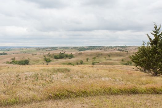 This image was taken at Niobrara State Park in Nebraska.