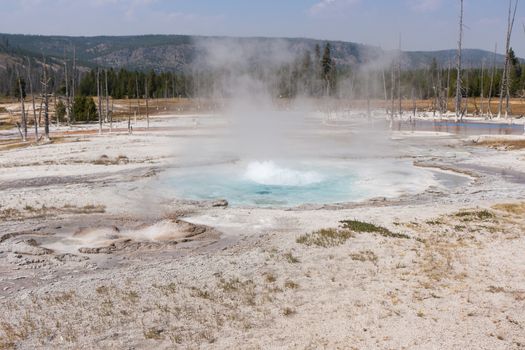 Yellowstone National Park is an otherwordly area that inspires awe in all who visit.
