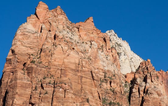 Trees and bushes are growing all over this massive rock mountain in an impressive display of nature's persistence.