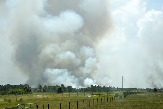 Smoke billowing forth from a large fire in a field.