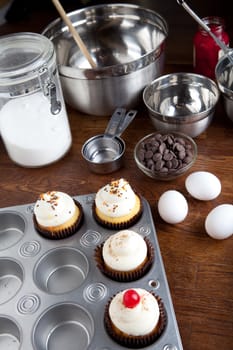 Decadent gourmet cupcakes frosted with a variety of frosting flavors as well as some baking ingredients. 