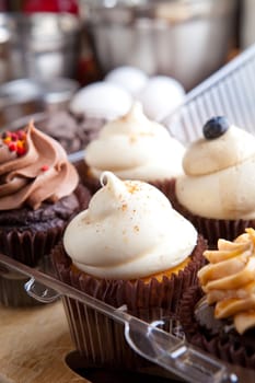 Close up of some decadent gourmet cupcakes frosted with a variety of frosting flavors. Shallow depth of field.