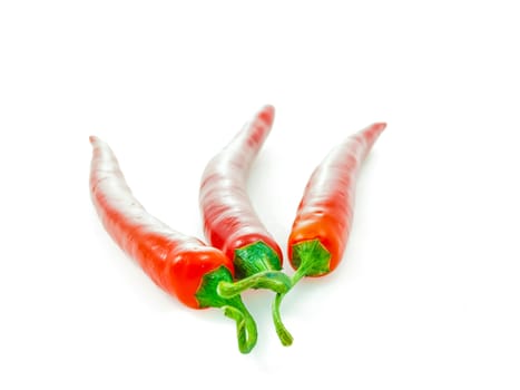 Three red chilies isolated towards white background