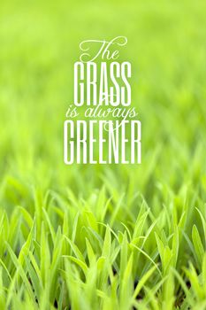 Green grass with typography quote about the grass always being greener on the other side with copy space.