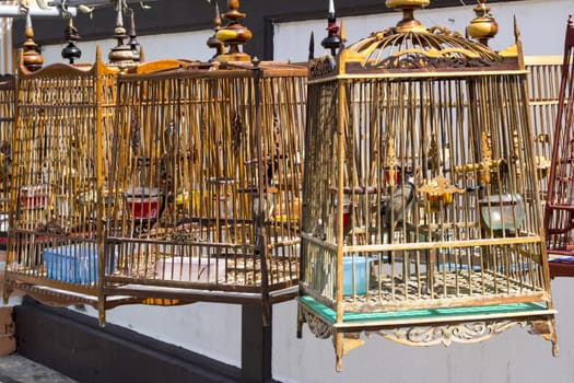 Birds in birdcages hung up in Phuket Town, Thailand