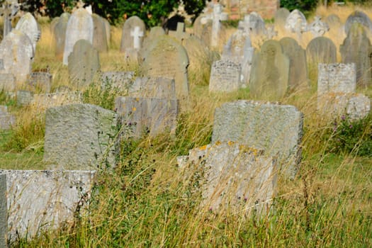 Large group of gravestones in grass