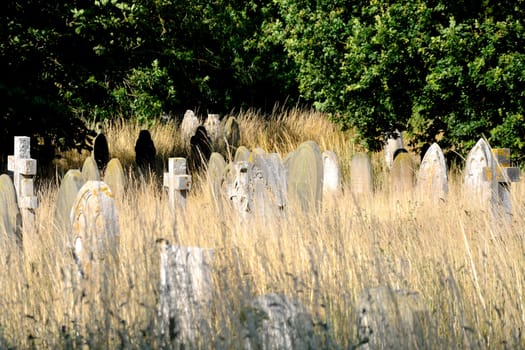 Gravestones in long grass