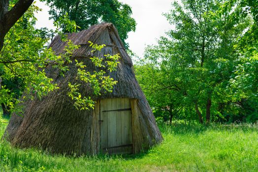 Traditional ukrainian antique wooden village storehouse in a green garden