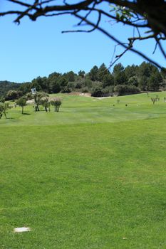 View from the tee of the length of the greens denoting one hole on a golf course