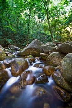 Flowing water in a rocky stream passing through lush green woodland in an Australian rainforest