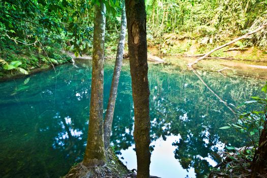 Beautiful tranquil blue lake in a rainforest reflecting the lush surrounding green vegetation