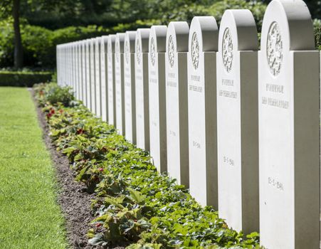 militairy cementry in Holland on the Grebbeberg with people died in the second world war in 1940