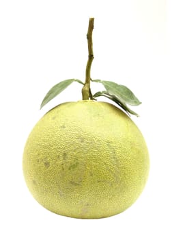 Green pomelo fruit on white Backgorund