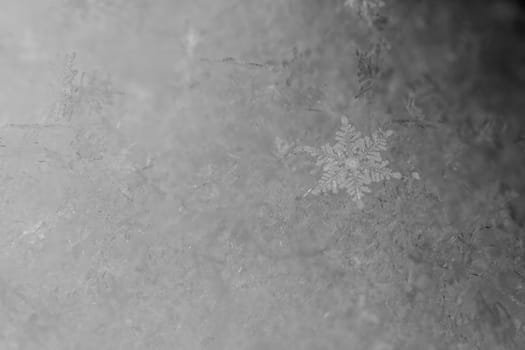 beauty white snowflake crystals on dark background