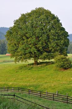 View of a beautiful summer landscape in Czech Switzerland