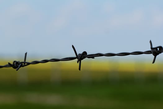 barbed wire defending the industries