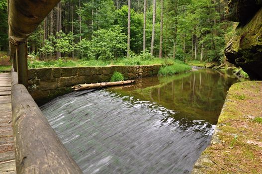 A view from a small bridge over the creek