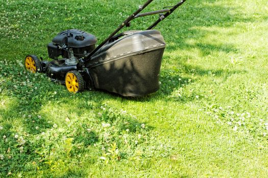 Black lawnmower in the garden lawn the grass with fuel engine
