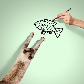 Image of siamese cat catching drawed fish