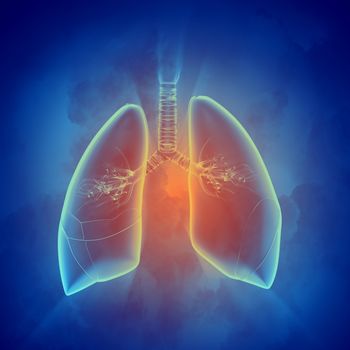 Schematic illustration of human lungs with the different elements on a colored background. Collage.