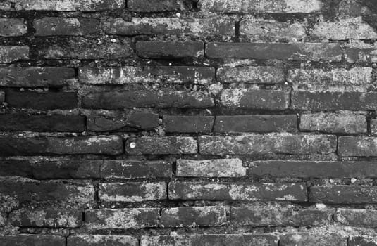Background consists of old bricks and mortar