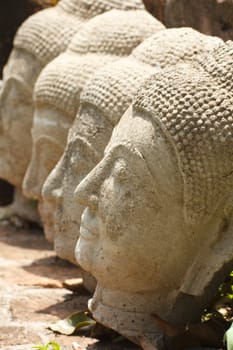 Buddha head on a row in the temple