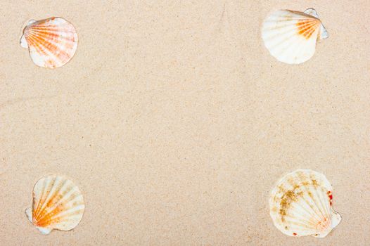 Four sea shells at the corners of a sand background