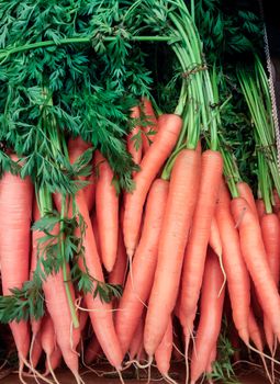 Fresh carrots in a pile with green grass in a cardboard box