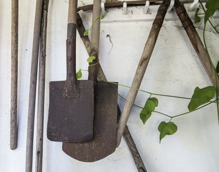 Vintage garden tools hanging on an outdoor wall.