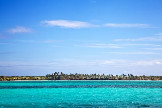 Beautiful beach with palms and ocean