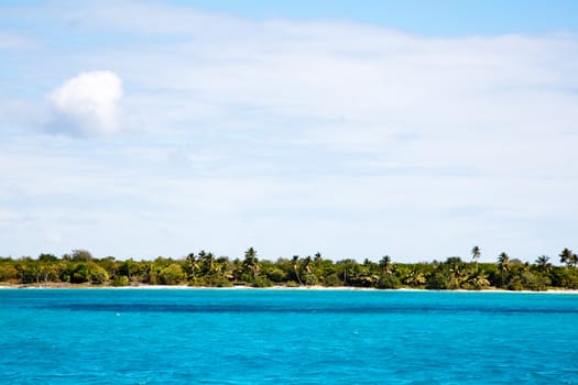 Tropical beach with palms and ocean