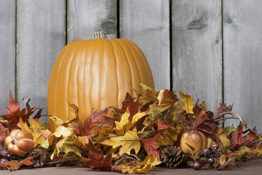 Pumpkin scene surrounded by fall colored leaves.