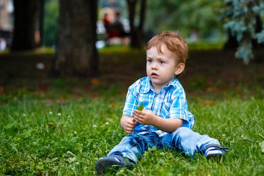 Little boy in jeans and a plaid shirt sitting on the grass in the park