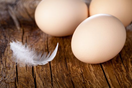 Fresh eggs on wooden table background. Copy space