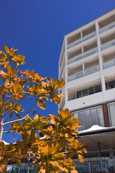Exterior facade of a modern corner apartment block with balconies in Cairns, Australia