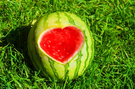 Watermelon with Heart shape on the grass - holiday concept