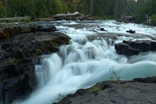 Forest Creek, Oregon, USA