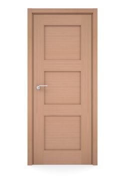 Wooden door. Isolated render on a white background