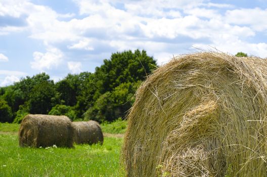 close-up of a hay bale out in the field with blue sky and green trees in the background
