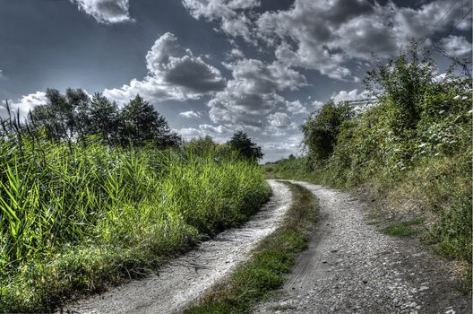 old rocky nature path with green surroundings and dramatic gray skies above