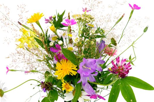 Bouquet of Fragile Wildflowers and Various Grass isolated on white background