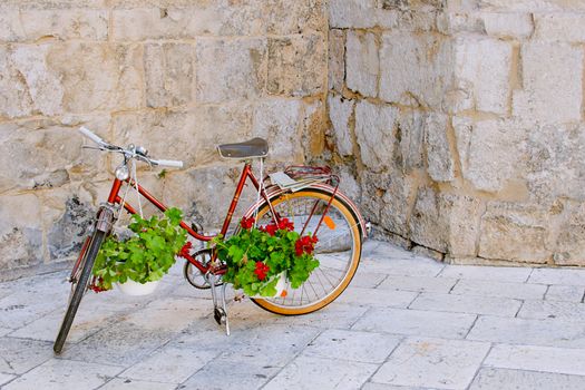 Red bike with geranium flowers.