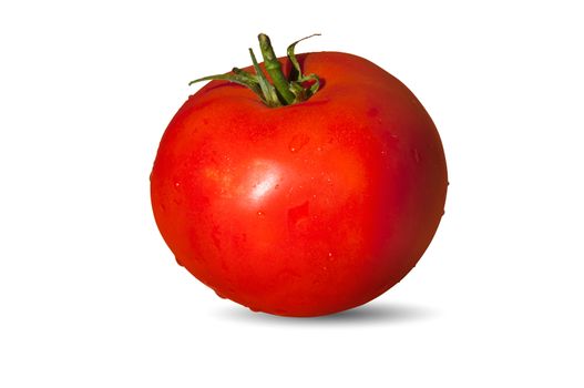 Tasty, wet tomato isolated over white background.