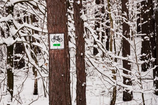 Bike route sign on the tree in winter.