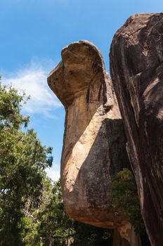 Cobra shaped rock in Sigiriya Palace, Sri Lanka.